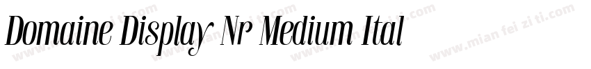 Domaine Display Nr Medium Italic字体转换